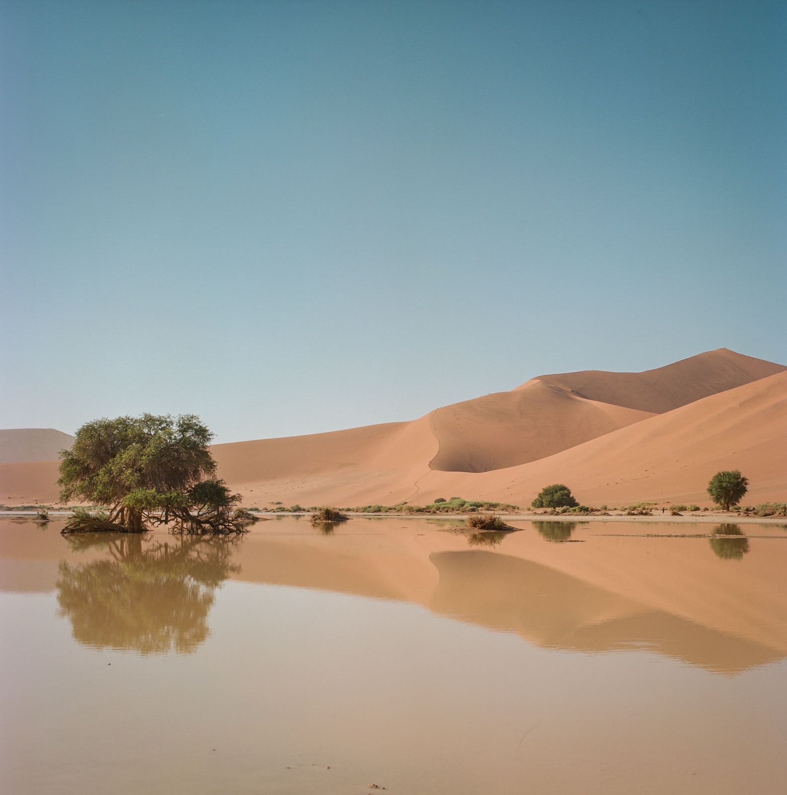 Colour RA-4 chromogenic darkroom print, the Namib desert on film